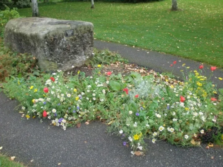 Beavers & Millenium Garden (2)