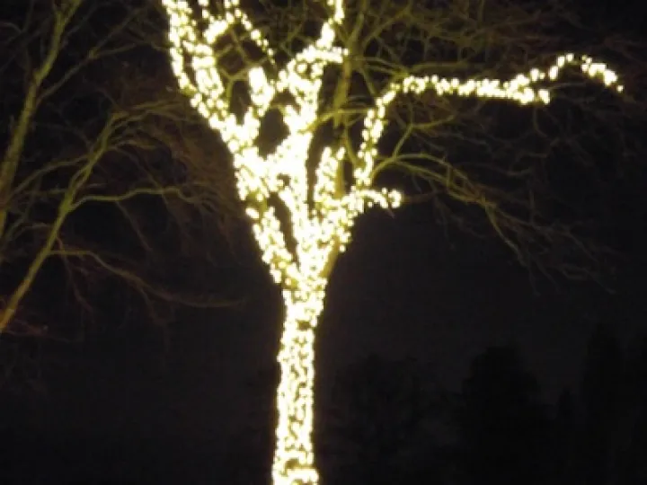 20151221_183912_Burst02