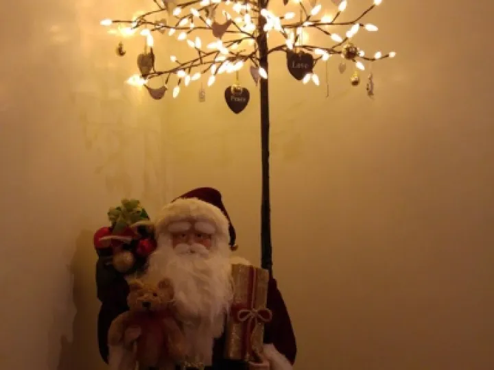 20151221_182910_Burst01_resized