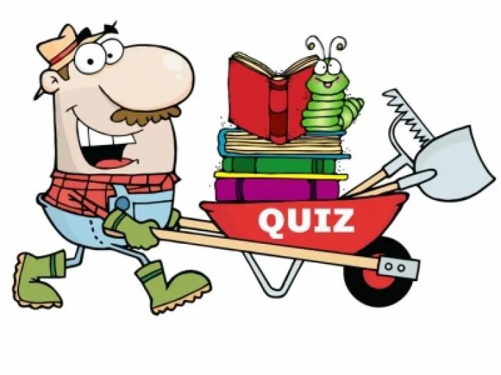 Allotment Quiz Image 06a