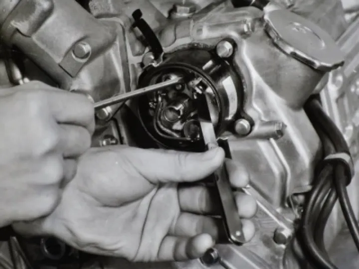 12604652 170520579983482 1378661662248394372 o