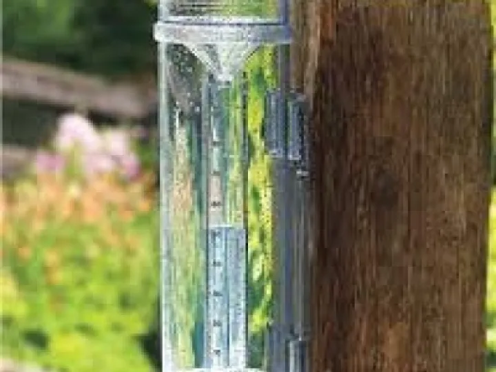 rain guage