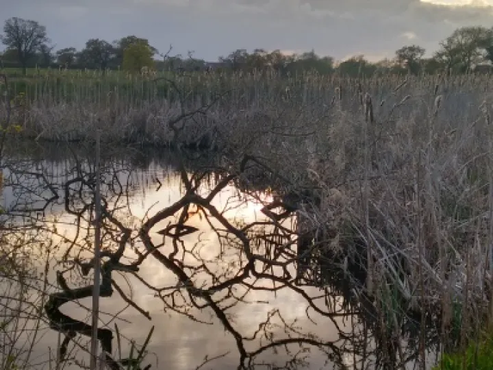 Img_20160425_194357590_hdr (1)