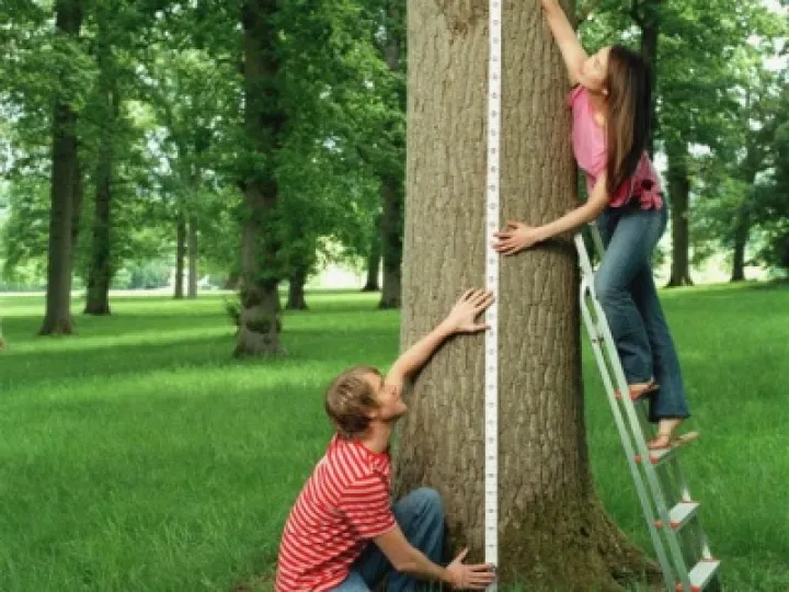 Measuring Tree Height 05