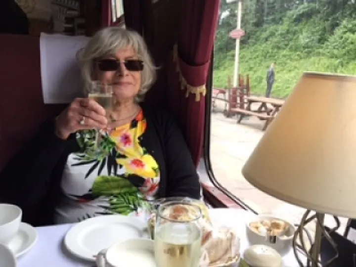 WI Janet Shuttlewood &ndash; Train