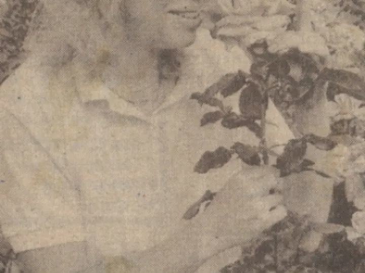 Lincoln Cathedral Rose2