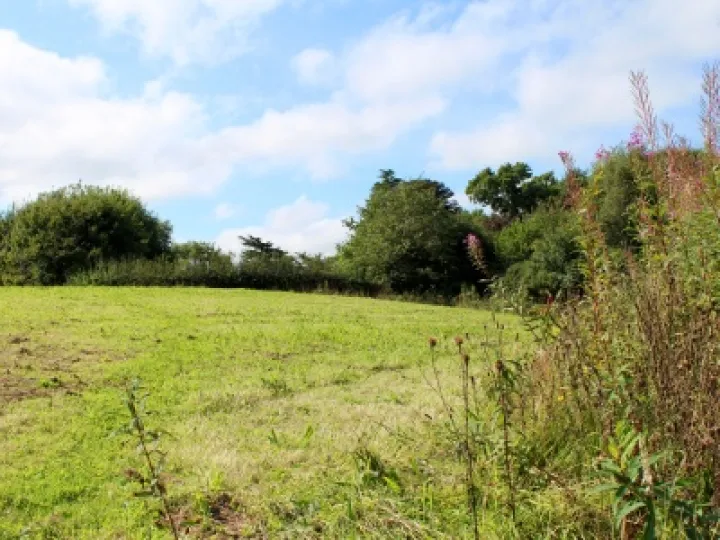 Last Import   1 of 20