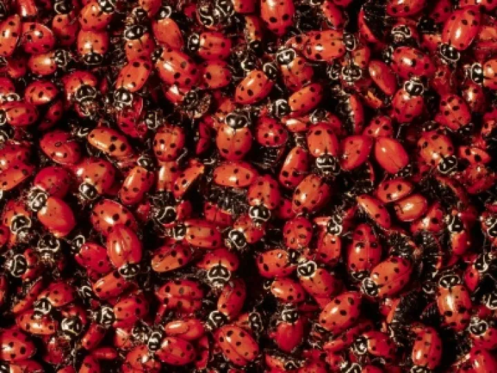 12852086543_704724c544_b