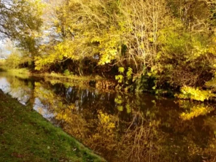 Between Bridges 11 &ndash; 12