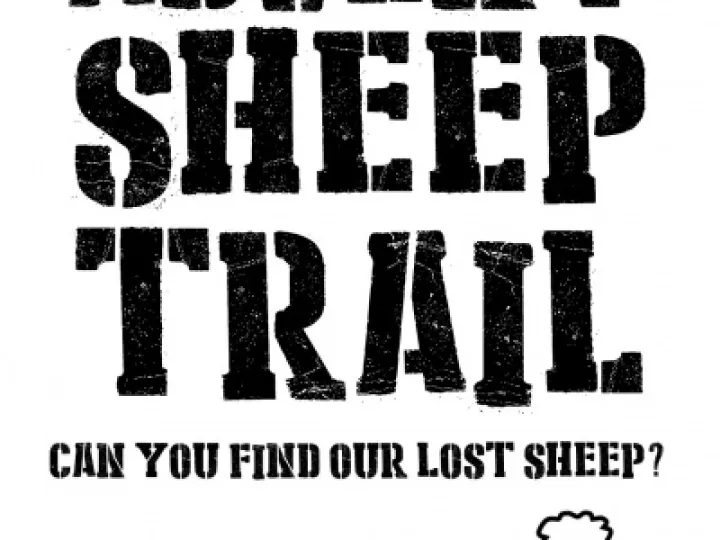 advent sheep trail poster