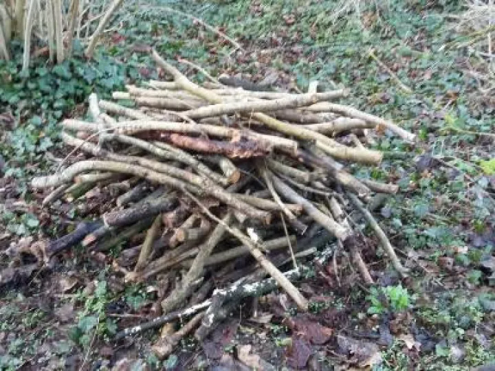 Habitat Piles