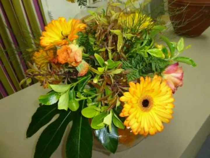 Flower Club April 2017 P1030229