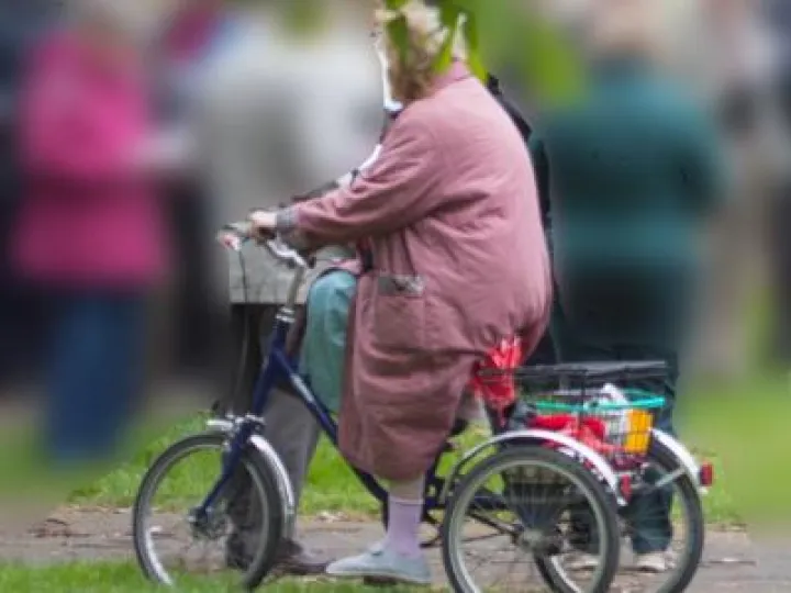 Rosemary in Tricycle