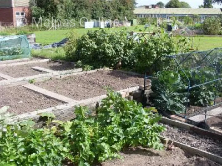 allotments