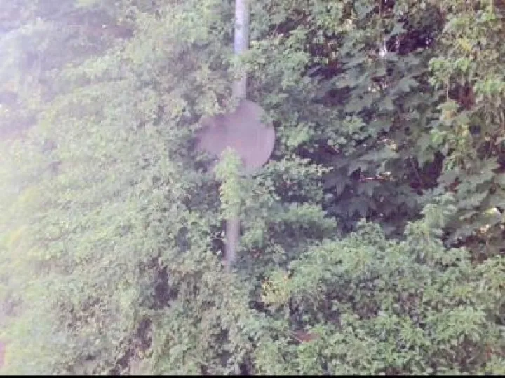 30mph Sign – Before