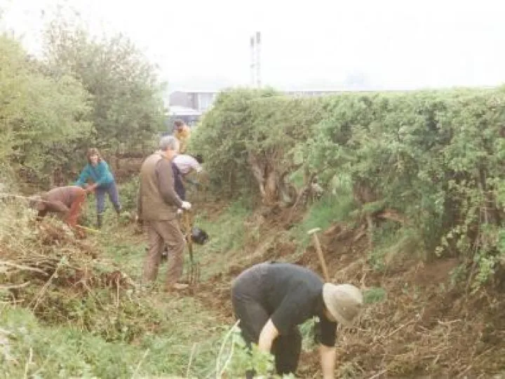 Footpath Clearing behind St Andrews Scan_20170812