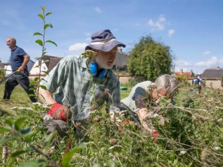Townsend Community Orchard 09