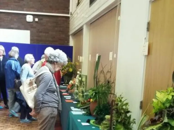 THS 2017 Flower Arranging Exhibits 20170819_150035_resized (1)