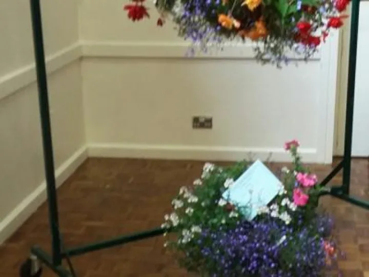 THS 2017 Flower Basket Exhibits 20170819_150048_resized