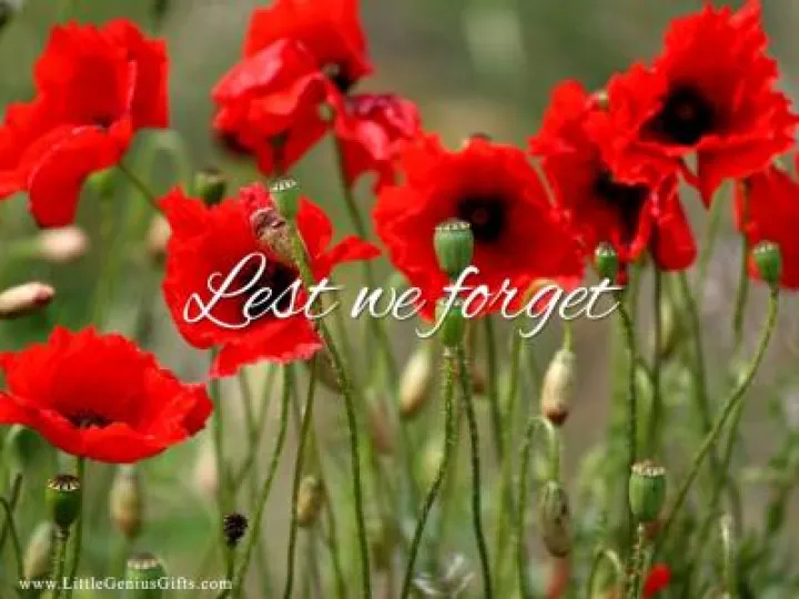 giftsbygenius-memorial-day-2014-wallpaper-1024x768