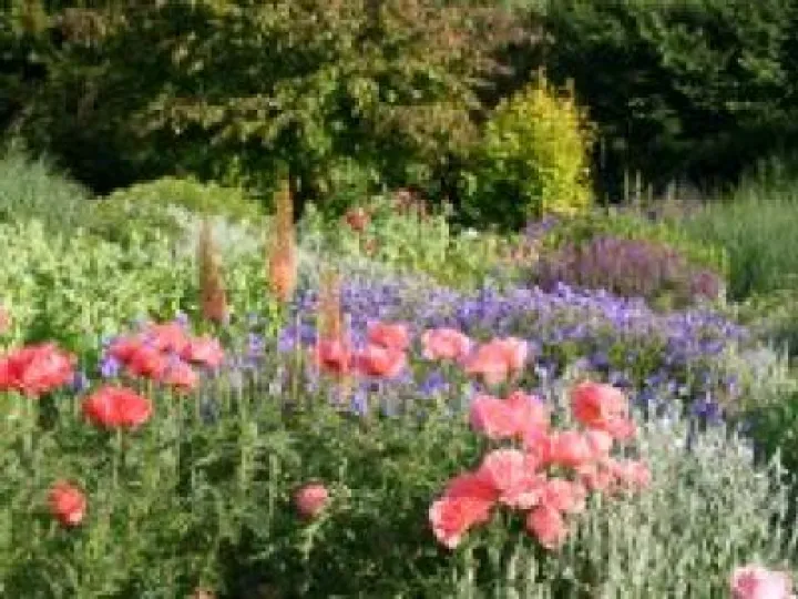 Bluebell Cottage Gardens-header