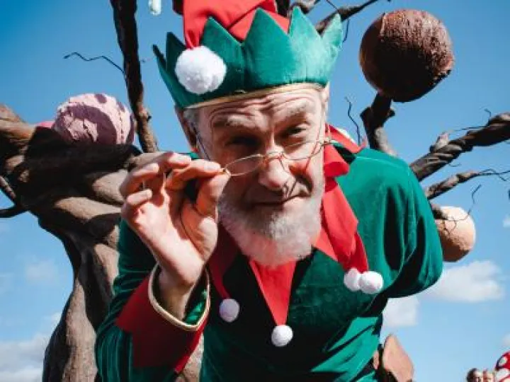 Ice Cream Farm Elf adventure