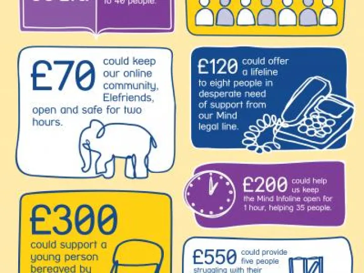 Fundraising Infographic 2017_ENG