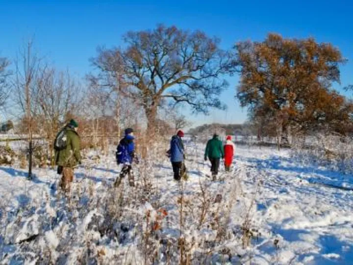 hQYgEaMVT4aFF8qgga52GA_thumb_83ea