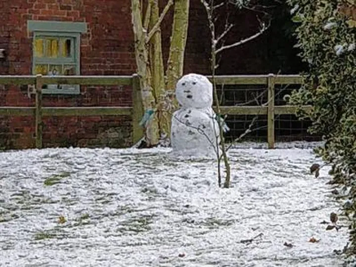 25152293_1752182101460305_897077923368713582_n