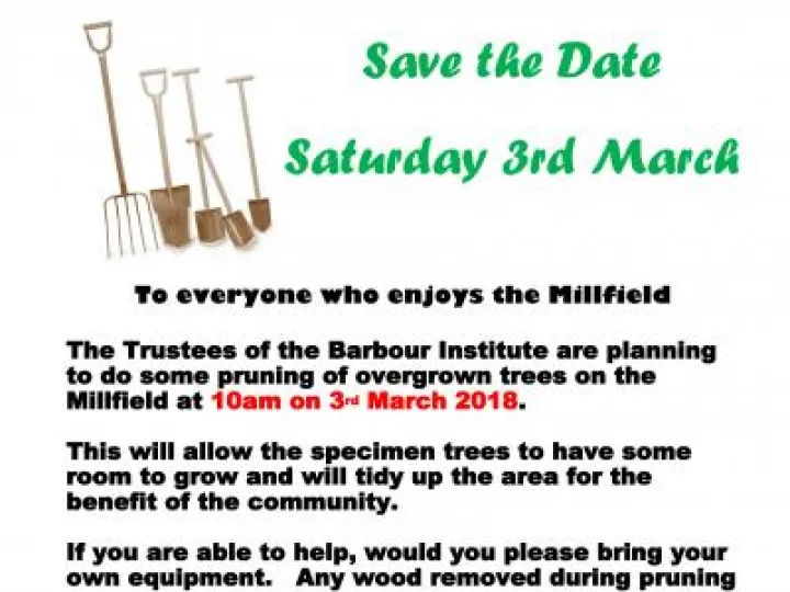 Millfield Tidy Up