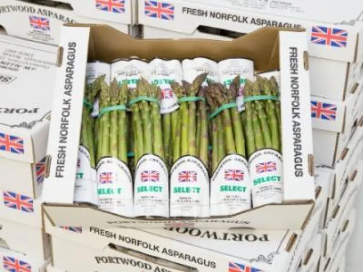 portwood-asparagus-MC