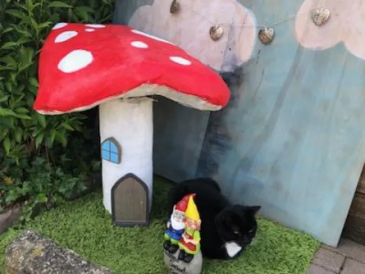 Gnome damage Img_5816