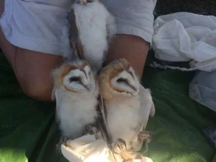 9319d323-e2b7-49a5-a1e4-c03589121ed9