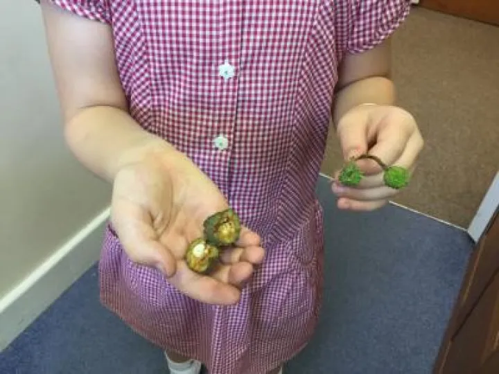 831EB435-7E1E-4274-BB25-8F551FAD8DF3