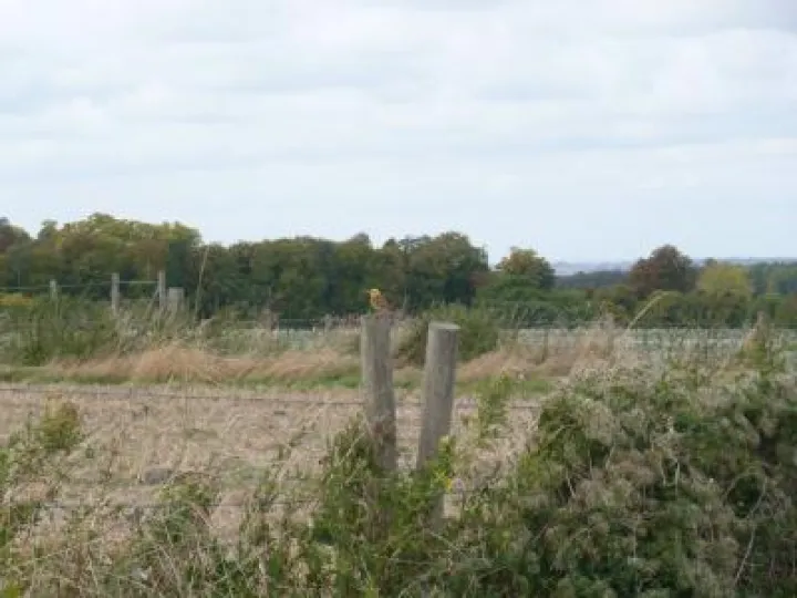 Ardington walk 3