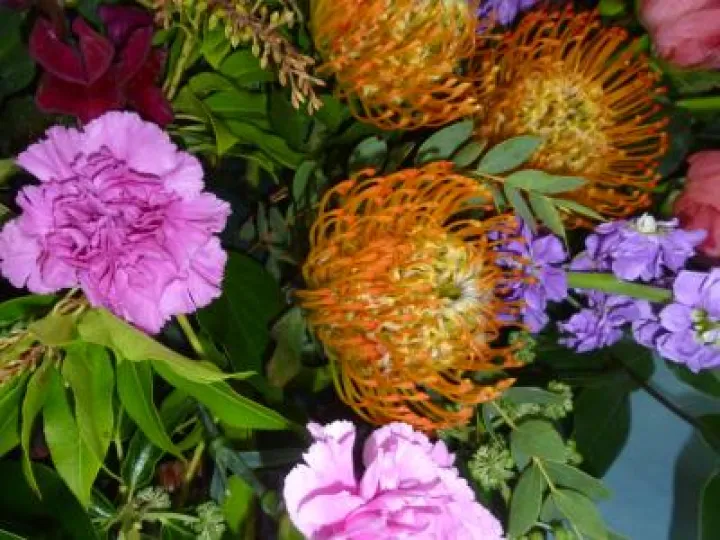 Flower Club Sept 2018 P1030585