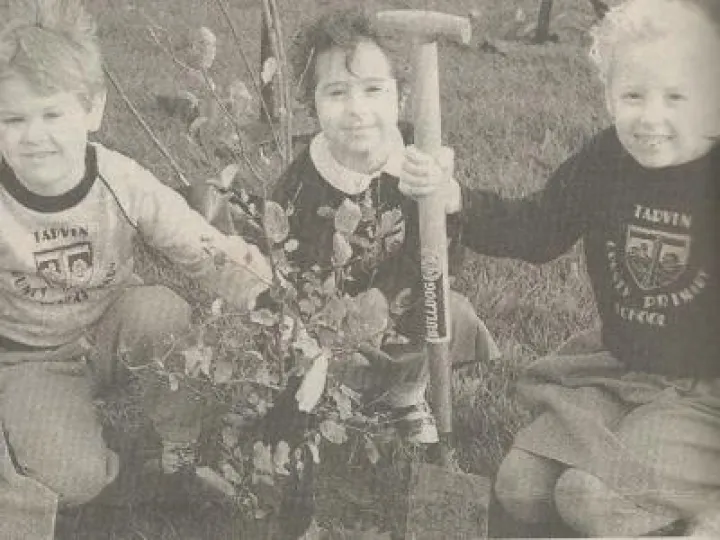 Planting Trees Scan_20181101