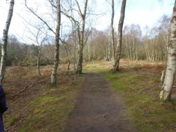 Little Budworth walk image