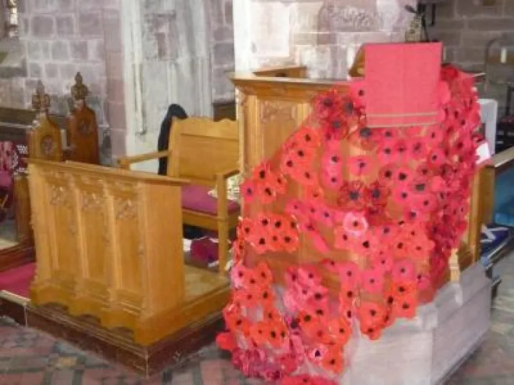 Armistice Poppies In St Andrews