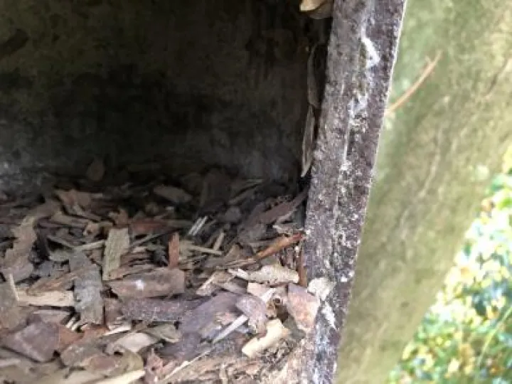 TWT utf 8 b tnv0agf0y2ggbmvzdgluzybtyxrlcmlhbcayic0gtgf1cmegrgvubnkuslbh