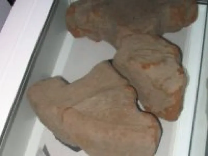 Saxon Cross in St Andrew's display