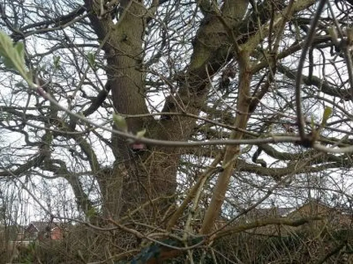 February 20190213_115913_resized