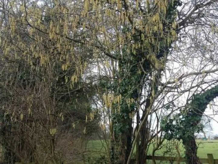 February 20190213_115648_resized