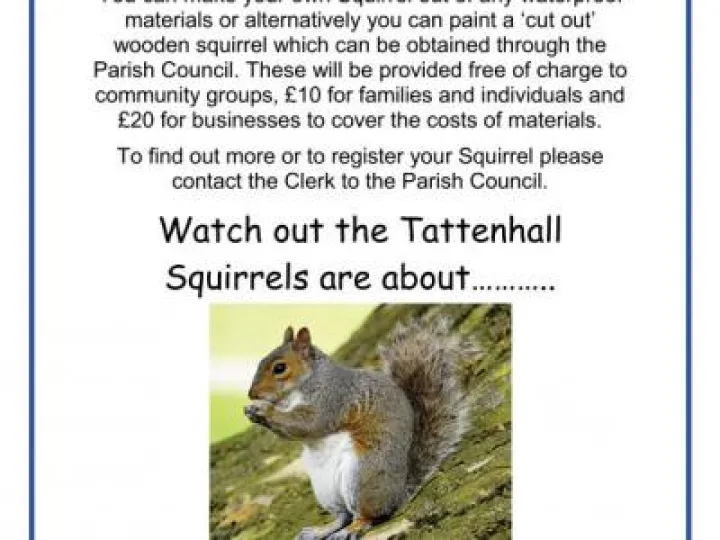SquirrelTrailMod