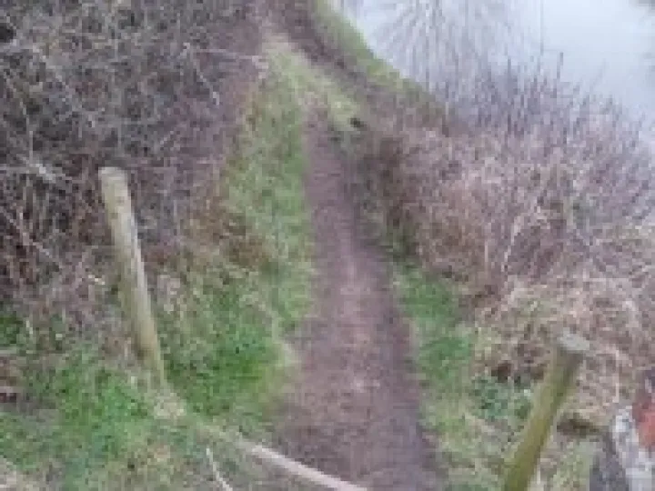 Canal towpath renovations (21)