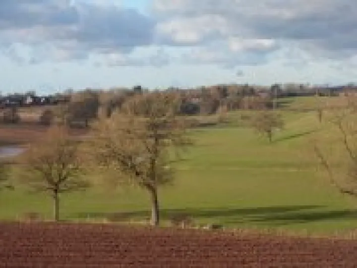 Canal walk January 2013 (14)