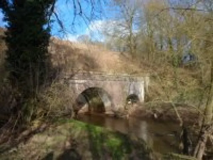 Canal walk January 2013 (10)