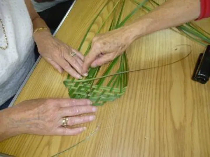 Flower Club July 2019 P1030773