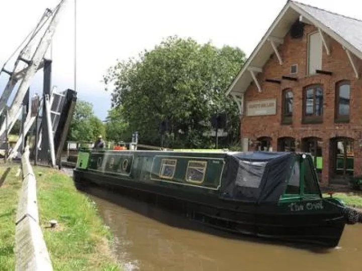 dusty-miller-on-the-right