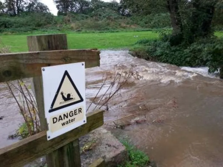 Badger20191026_153742